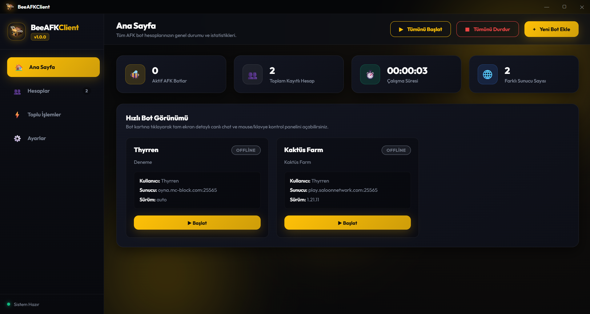 Bee AFK Client uygulama arayüzü önizlemesi